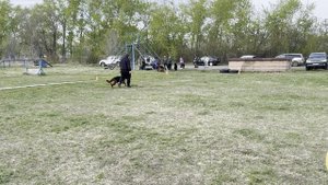 5.  выр/пож ВАСИЛИСА ИЗ БЕЛОГО ЯРА (Леннон из БЯ – Жанет из БЯ)