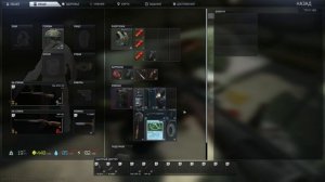 тарков пве дикий в деле на таможне