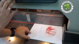 Процес порезки на резаке (бумагорежущая машина) Polar 78