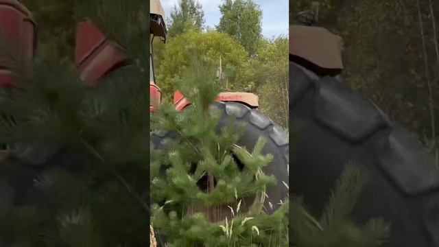 ТЯЖЕЛАЯ ДИСКОВАЯ БОРОНА 💪БДТ #сельскохозяйственнаят смотреть онлайн