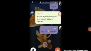 переписка, соня и баку😱😱