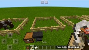 Топ 4 фокусов с бирками в Minecraft