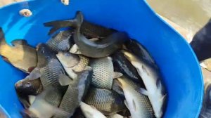WhatsApp Video 2025-05-15 at 18.03.19