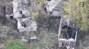 Подтверждающие кадры из Торского.