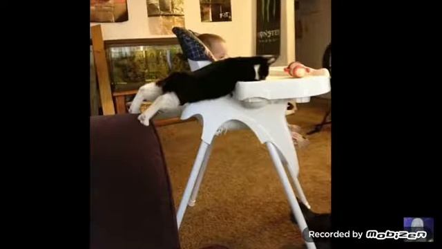 Приколы от Макса. смотреть онлайн