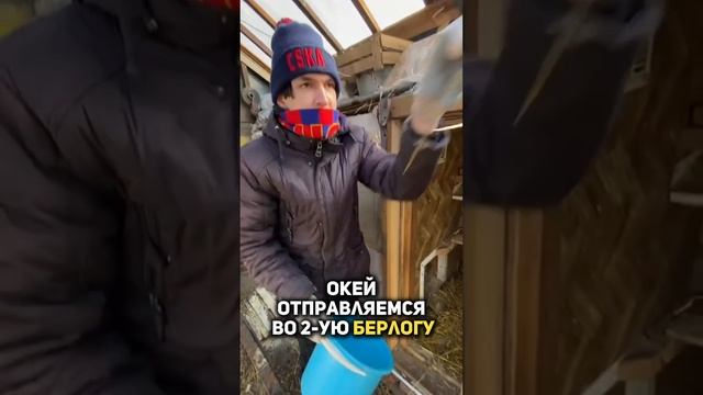 Кормление Курочек - Начинающий фермер !