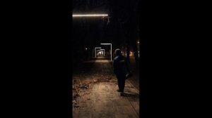 Воздуходувка аккумуляторная Senix BLAX2-M1-EU SET