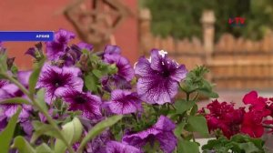 Самое красивое село выбирают в Воронежской области