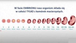 АКТИВИРУЙТЕ СВОИ СТВОЛОВЫЕ КЛЕТКИ! 2025-05-15