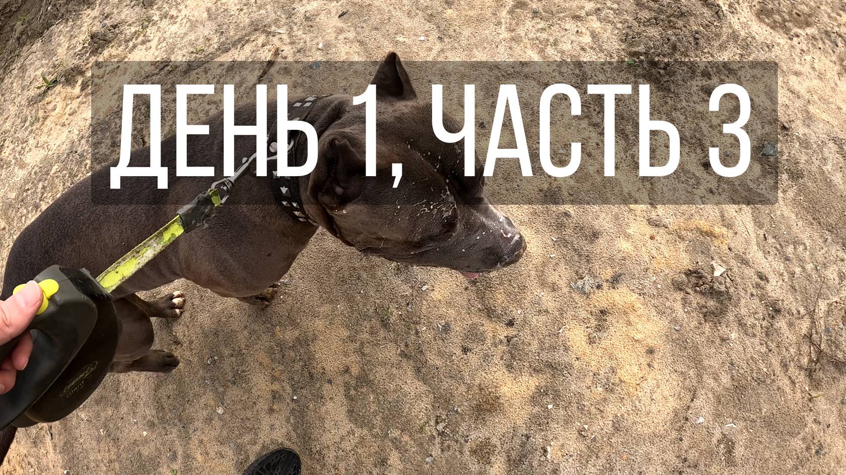 День 1, часть 3