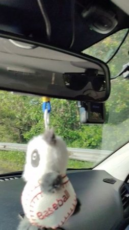 К нам в город приехал писатель сатирик Жданов Виктор Сергеевич