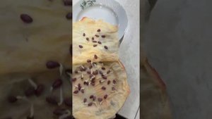 Гибрид подсолнечника Белла, фирма Вавилов-Агро🌻