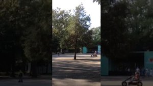 Белки в Чистяковской роще