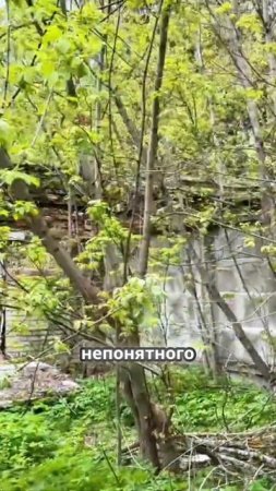 Город без адреса_ как живут люди в заброшенной деревне под Москвой