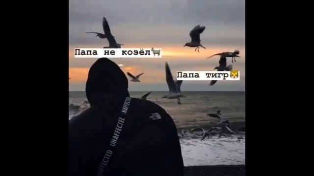 Подборка лучших цитат | грустные, крутые, про любовь, смешные | смотреть онлайн