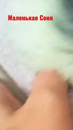 #shorts #short #shortvideo #dog #dogs #doglover #baby #russia #switch #funny #love #животные