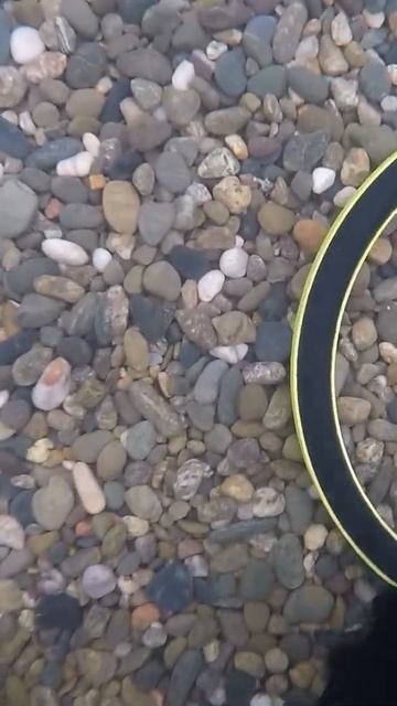 Подводный поиск с Minelab Excalibur 2. Первый сигнал! Интересно смотреть онлайн