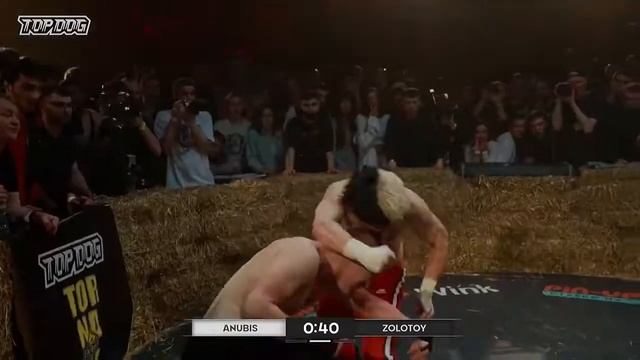 ДУМАЕТЕ КТО АНДЕРДОГ  TOP DOG 8.                   бои подписка лайк отдуши топдог кто анде