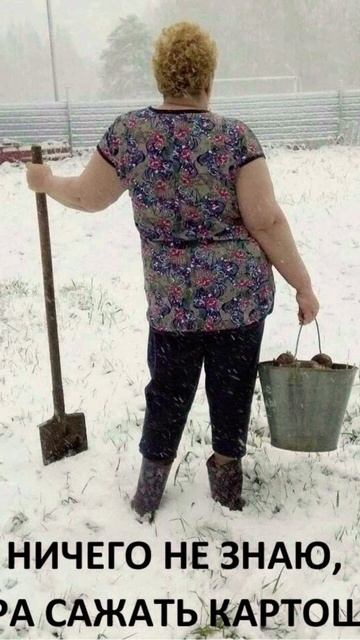 не чего не знаю! картошку сажать надо. Май 2024 смотреть онлайн