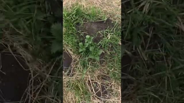 Оставленная деревня дом 5 смотреть онлайн