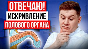 ОТВЕЧАЮ! ИСКРИВЛЕНИЕ ПОЛОВОГО ЧЛЕНА: ОБЪЯСНЕНИЕ СПЕЦИАЛИСТА.