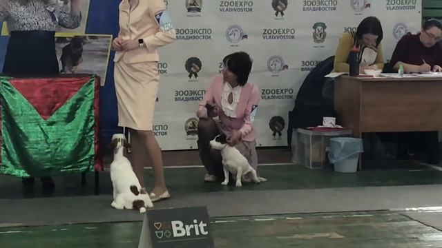 24 мая 2020 г. смотреть онлайн