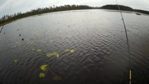 Лебединое озеро. Рыбалка в грозу. Щука на спиннинг и самоловки.