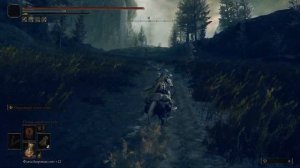 САМЫЙ ЛЕНИВЫЙ ФАРМ РУН в Elden Ring Shadow of the Erdtree  #shadowoftheerdtree  #eldenring