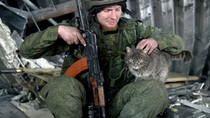 ДЕВЯТАЯ ЖИЗНЬ👍(Стихи М.Афонин)👍👍👍