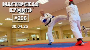 Мастерская Кумитэ Кёкусинкай (206) / Кумитэ / Подготовка к соревнованиям (30.04.25)
