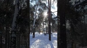 Зимняя сказка в парке "Победа"