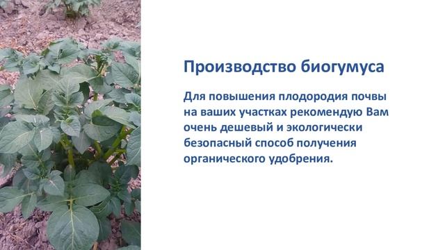 Как повысить плодородие почвы!