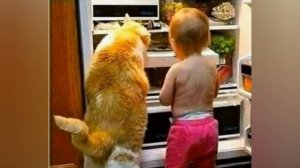 Хозяин и мурзик Рожденственские мемы, приколы,кот и рожденственский шашлычный стол......