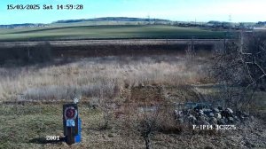 Тест камеры видеонаблюдения iFLOW F-IP-1441CSZ25 (день)