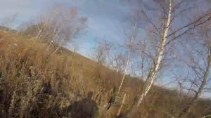 Охота на Фазана- Стрельба по Фазану