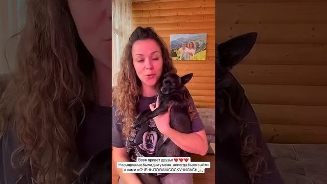 #garden #жизньзагородом #рецепты #огород #shorts #petrovchanka_lera #pet