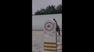 влог||конкур|соревнования по конному спорту