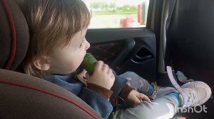 Купила себе помощника. Едем за внученькой. Занимаемся огородом. Простая жизнь обычной семьи!