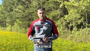 Пила аккумуляторная цепная WoodyPeople с бесщеточным элект