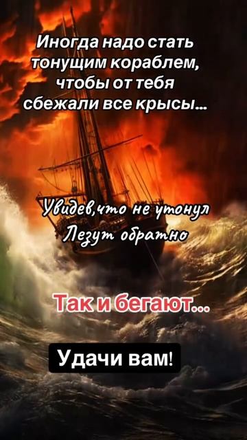 Не люблю крыс,особенно если это люди! смотреть онлайн