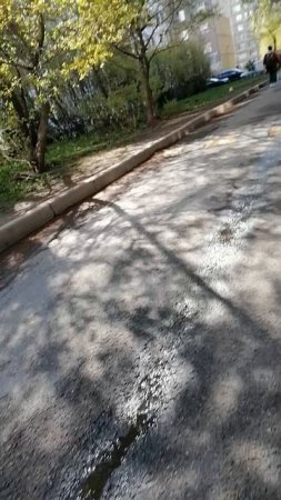 Прогулка в Невском районе 
у парка Есенина