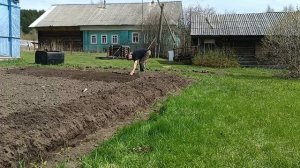 pro.hozyaistvo Идеальные грядки разравниваем пашню граблями!