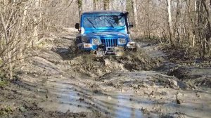 22-23,03,25 выезд в лес 1 ЧАСТЬ