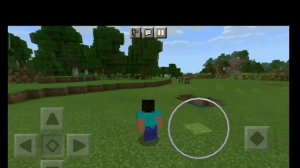 а ты похож на жопу