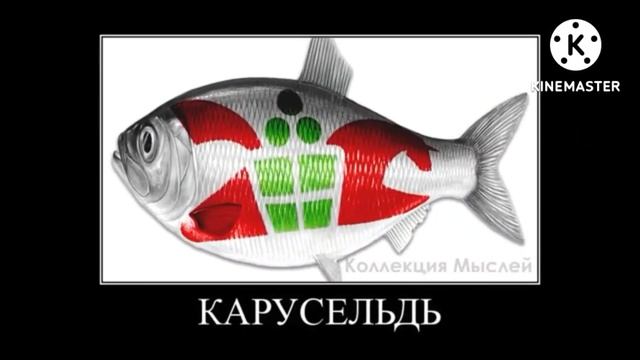магазины + шиза = смотреть онлайн