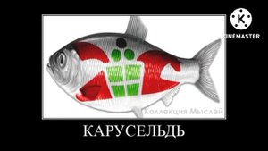 магазины + шиза =
