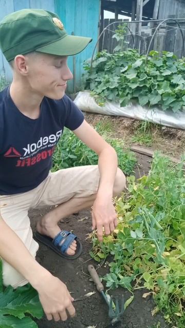 ТИПЫ ЛЮДЕЙ В ОГОРОДЕ🥒🥔#shorts #тикток смотреть онлайн