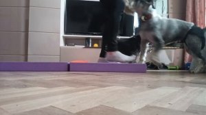 1000074572.mp4