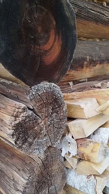 Предзимье. Баня #моядеревня #природа смотреть онлайн