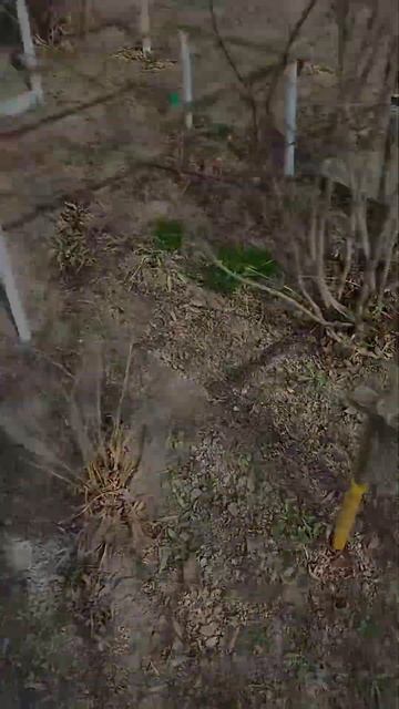 ОТКРЫЛИ Дачный сезон ✅ смотреть онлайн